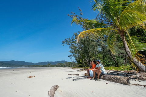Full Day Daintree Rainforest And Mossman Gorge Tour - Airlie Beach Holiday 4