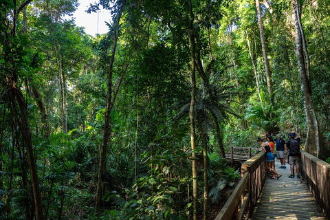 Full Day Daintree Rainforest And Mossman Gorge Tour - Airlie Beach Holiday 5