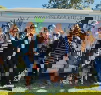Full Day Mount Tamborine Winery Tour from Gold Coast - Airlie Beach Holiday