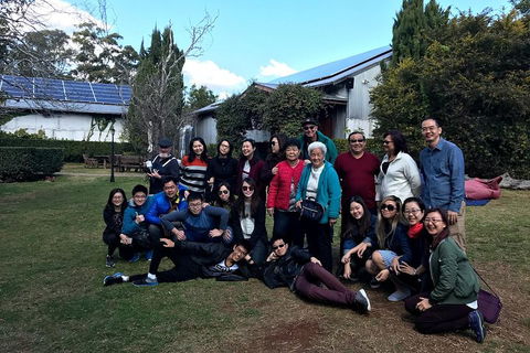 Full Day Mount Tamborine Winery Tour From Brisbane - Airlie Beach Holiday 2