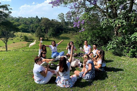 Full Day Mount Tamborine Winery Tour From Brisbane - Airlie Beach Holiday 4