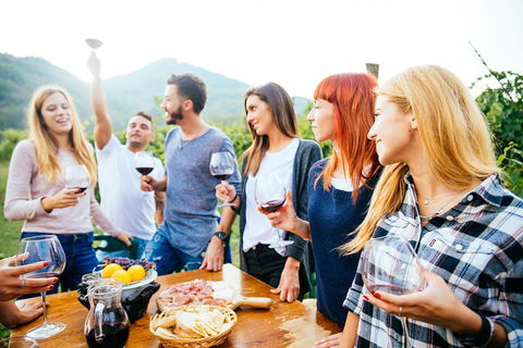 Full Day Mount Tamborine Winery Tour From Brisbane - Airlie Beach Holiday 5