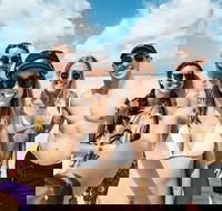 Whitsunday Islands Sailing Adventure - Airlie Beach Holiday