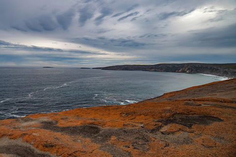Kangaroo Island Luxury Small Group 'Flinders Chase Focus' Full Day Tour - Airlie Beach Holiday 0
