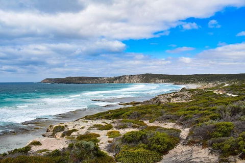 Kangaroo Island Luxury Small Group 'East End Explorer' Full Day Tour - Airlie Beach Holiday 0