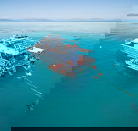 Ocean Freedom Great Barrier Reef Personal Luxury Snorkel  Dive Cruise Cairns - Airlie Beach Holiday