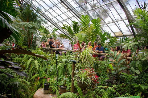 Australian Butterfly Sanctuary - Airlie Beach Holiday 0