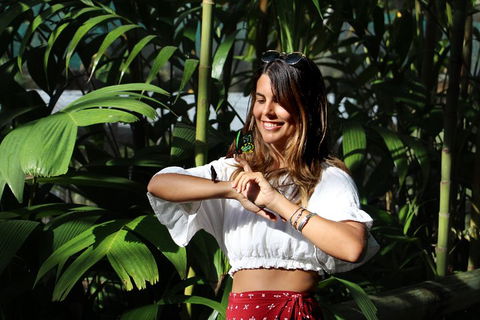 Australian Butterfly Sanctuary - Airlie Beach Holiday 1