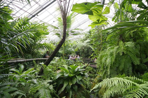 Australian Butterfly Sanctuary - Airlie Beach Holiday 3