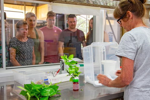 Australian Butterfly Sanctuary - Airlie Beach Holiday 5