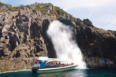 Full-Day Bruny Island Cruises Day Tour From Hobart - Airlie Beach Holiday 4