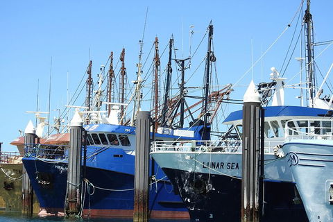 One Day Port Lincoln Tour - Tasting Eyre - Airlie Beach Holiday 0