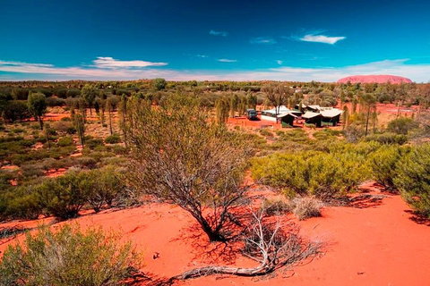 Overnight Uluru (Ayers Rock) Small-Group Camping Tour - Airlie Beach Holiday 2