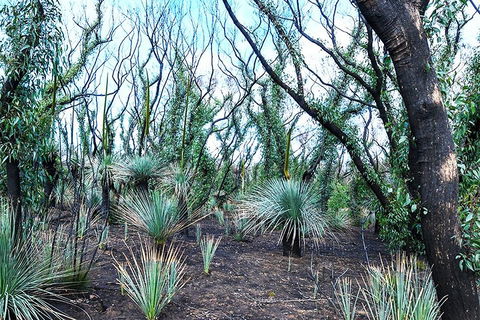 NEW TOUR - Kangaroo Island Road To Recovery Tour (1 Day/1 Night) - Airlie Beach Holiday 3