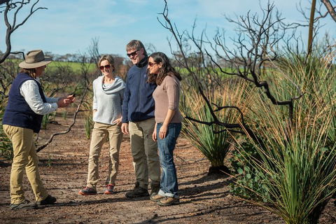 NEW TOUR - Kangaroo Island Road To Recovery Tour (1 Day/1 Night) - Airlie Beach Holiday 4