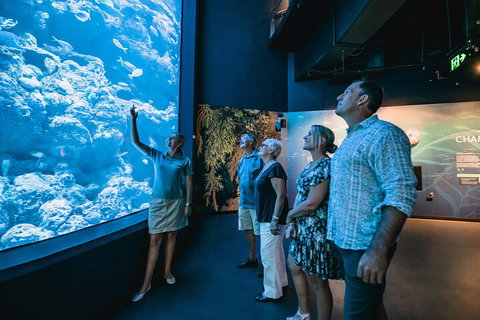 Cairns Aquarium By Twilight With 3-Course Dinner - Airlie Beach Holiday 1