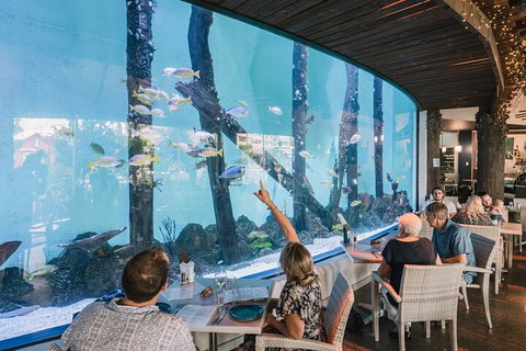 Cairns Aquarium By Twilight With 3-Course Dinner - Airlie Beach Holiday 4