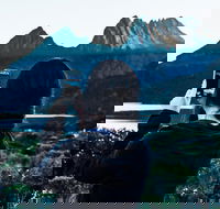 Cradle Mountain Park Explorer Guided Tour - Airlie Beach Holiday