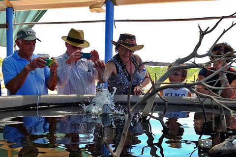 Cape Leveque 4WD Tour From Broome With Optional Return Flight - Airlie Beach Holiday 0