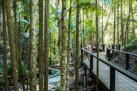 All-Inclusive Fraser Island Day Tour - Airlie Beach Holiday 5