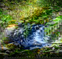 Day Tour in Mt. Field Mt. Wellington Bonorong Wildlife Sanctuary and Richmond - Airlie Beach Holiday