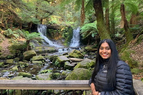 Day Tour In Mt. Field, Mt. Wellington, Bonorong Wildlife Sanctuary And Richmond - Airlie Beach Holiday 5