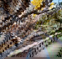 Kakadu National Park Cultural Experience - Airlie Beach Holiday