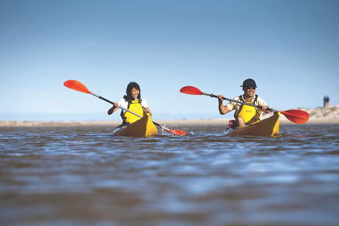 Kangaroo Island Self-Guided Kayaking On The Harriet River - Airlie Beach Holiday 2