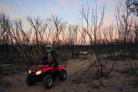 Kangaroo Island Quad Bike (ATV) Tours - Airlie Beach Holiday 1