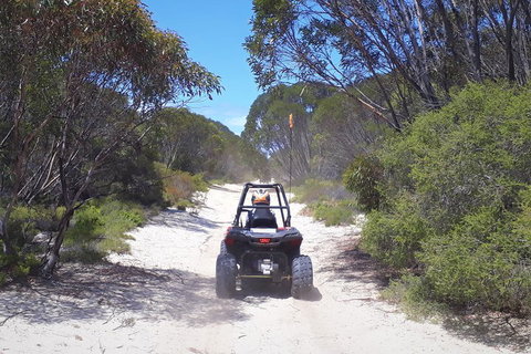 Kangaroo Island Quad Bike (ATV) Tours - Airlie Beach Holiday 4