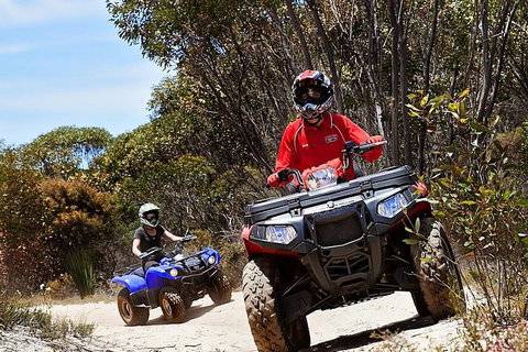 Kangaroo Island Quad Bike (ATV) Tours - Airlie Beach Holiday 5