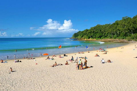 Noosa Everglades Serenity Cruise & Highlights Tour Inc. Lunch & Cruise - Airlie Beach Holiday 4