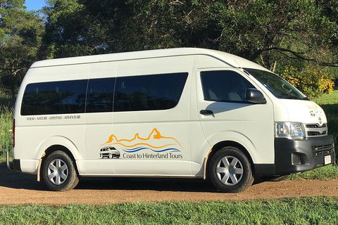 Noosa Everglades Serenity Cruise & Highlights Tour Inc. Lunch & Cruise - Airlie Beach Holiday 5