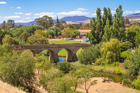 Wineglass Bay & Freycinet NP Full Day Tour From Hobart Via Richmond Village - Airlie Beach Holiday 4