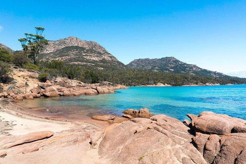 Wineglass Bay & Freycinet NP Full Day Tour From Hobart Via Richmond Village - Airlie Beach Holiday 5