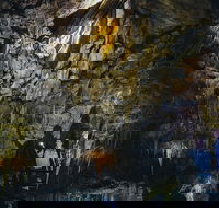 Ngilgi Cave Semi-guided Tour - Airlie Beach Holiday