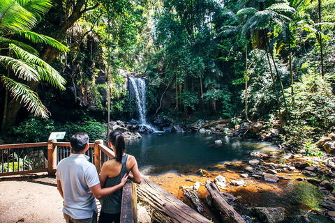 Aquaduck & Your Choice Of Gold Coast Rainforest Tour - Airlie Beach Holiday 0