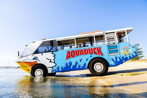 Aquaduck & Your Choice Of Gold Coast Rainforest Tour - Airlie Beach Holiday 3
