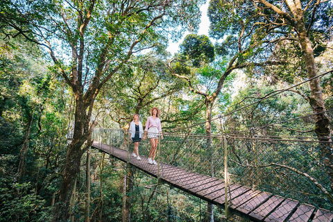 Aquaduck & Your Choice Of Gold Coast Rainforest Tour - Airlie Beach Holiday 4