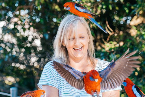 Aquaduck & Your Choice Of Gold Coast Rainforest Tour - Airlie Beach Holiday 5