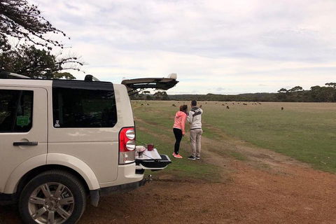 Kangaroo Island 4WD Tour - Flinders Chase - Airlie Beach Holiday 3