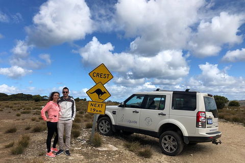 Kangaroo Island 4WD Tour - Best Of KI - Airlie Beach Holiday 5