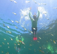 Manly Snorkel Trip and Nature Walk with Local Guide