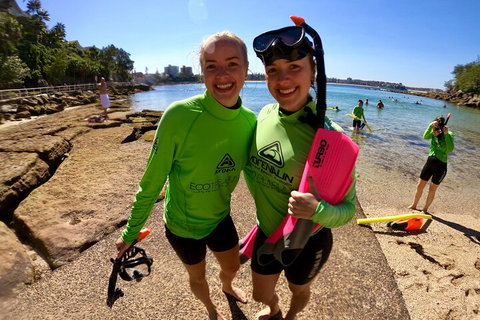 Manly Snorkel Trip And Nature Walk With Local Guide - Airlie Beach Holiday 1