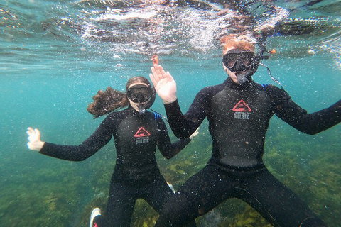 Manly Snorkel Trip And Nature Walk With Local Guide - Airlie Beach Holiday 3