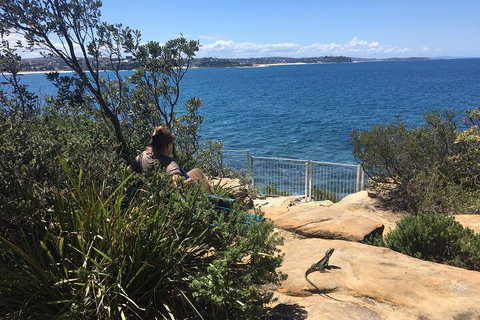 Manly Snorkel Trip And Nature Walk With Local Guide - Airlie Beach Holiday 4