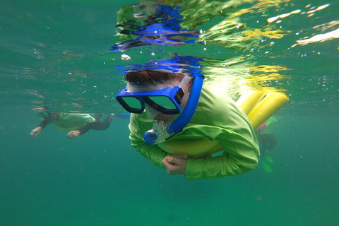 Manly Snorkel Trip And Nature Walk With Local Guide - Airlie Beach Holiday 5