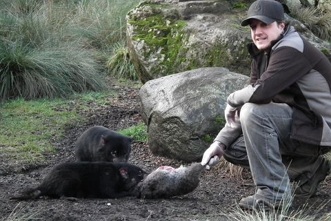 After Dark Tasmanian Devil Feeding Tour At Cradle Mountain - Airlie Beach Holiday 2