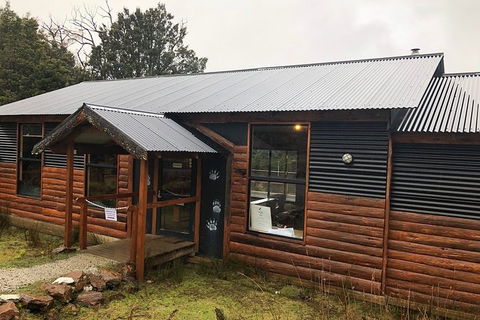 After Dark Tasmanian Devil Feeding Tour At Cradle Mountain - Airlie Beach Holiday 3