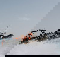 Adventure Whale Watching Tour Mooloolaba - Airlie Beach Holiday